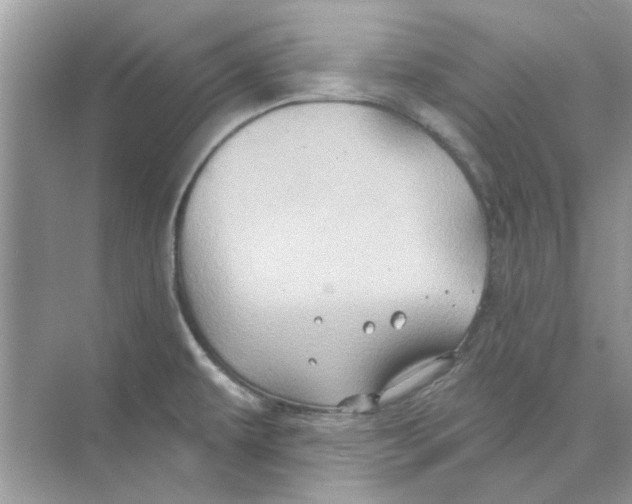 X0000074261479200609222138