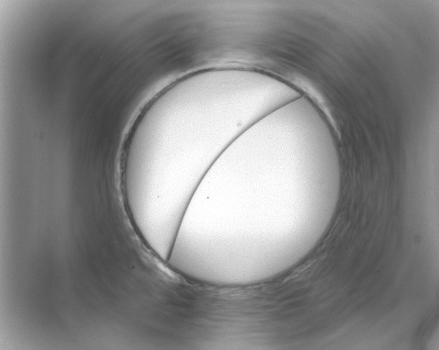 X0000074261480200609222138