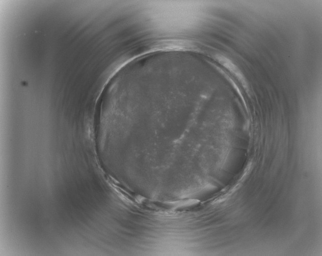 X0000074261481200609222138