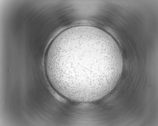 X0000074261482200609222138