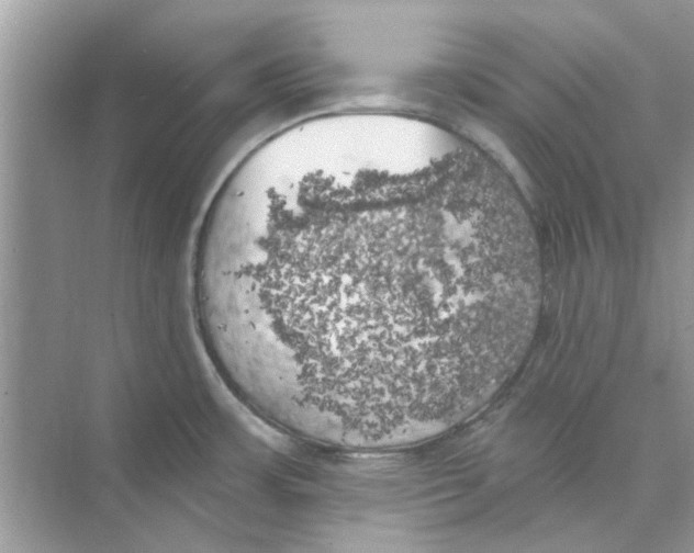 X0000074261483200609222138