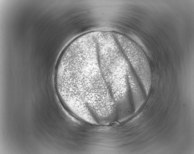 X0000074261484200609222138