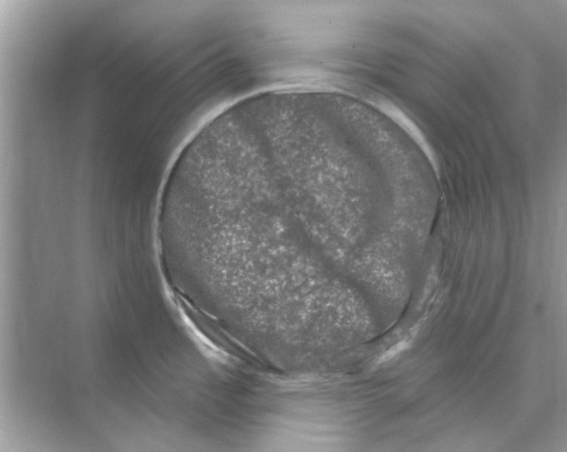 X0000074261485200609222138