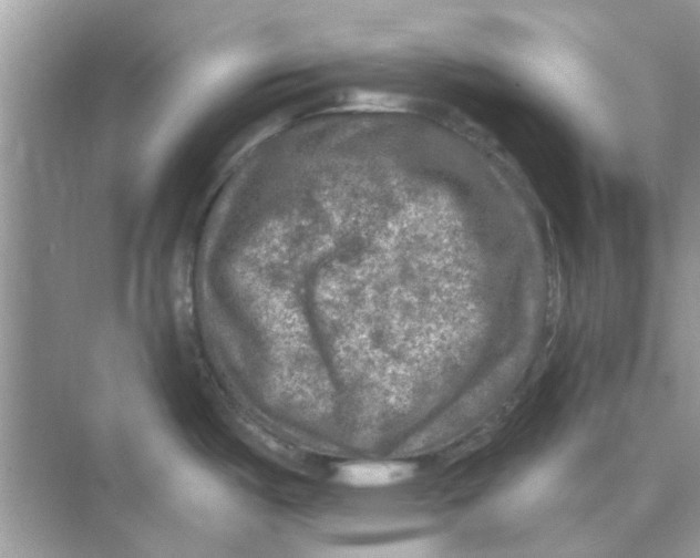 X0000074261487200609222138