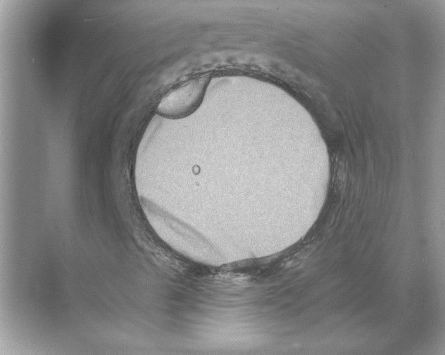 X0000074261489200609222137