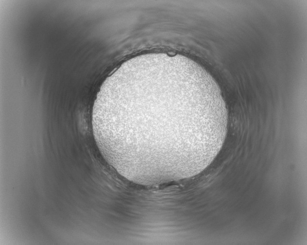 X0000074261490200609222137