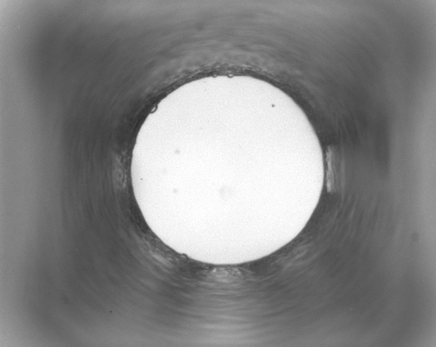 X0000074261491200609222137