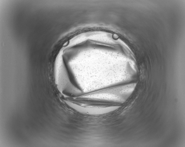 X0000074261494200609222137