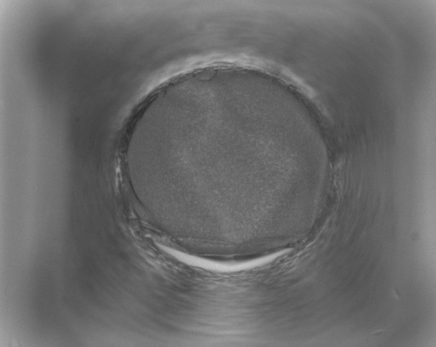 X0000074261496200609222137