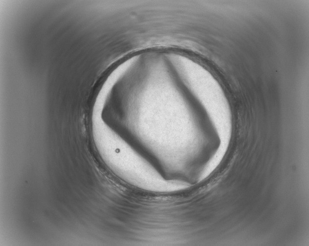 X0000074261497200609222137