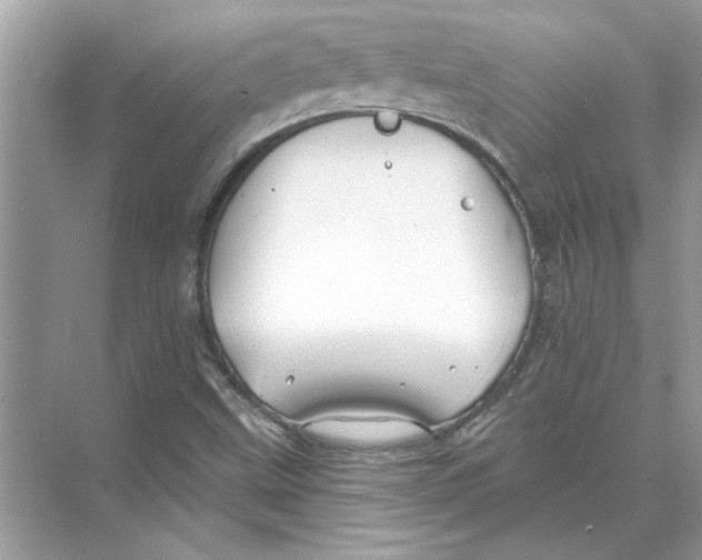 X0000074261499200609222137