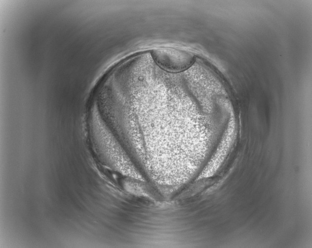 X0000074261501200609222137