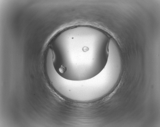 X0000074261502200609222137