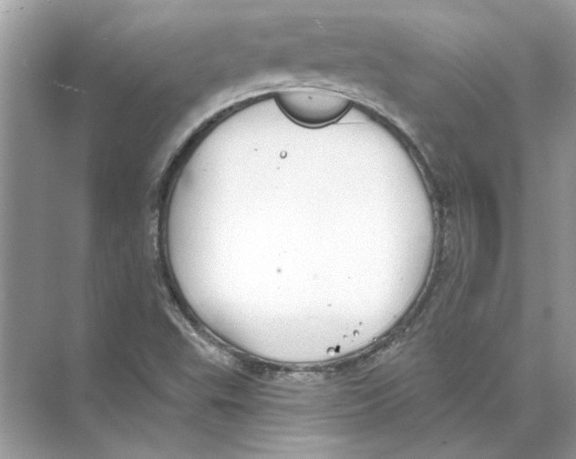 X0000074261503200609222137