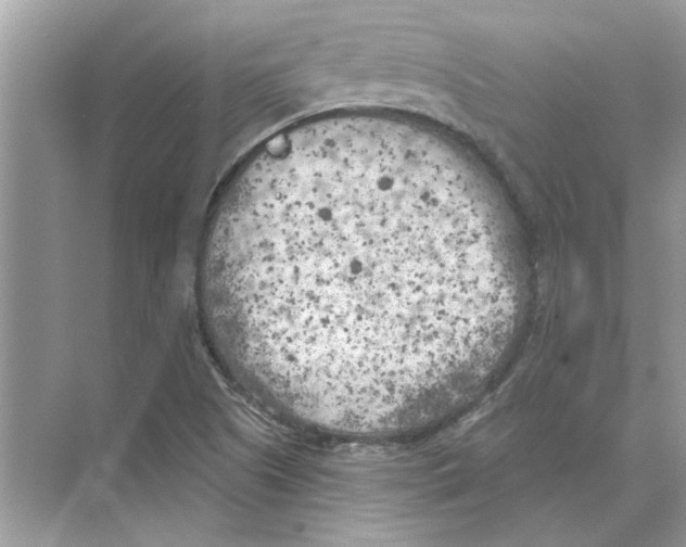 X0000074261505200609222137