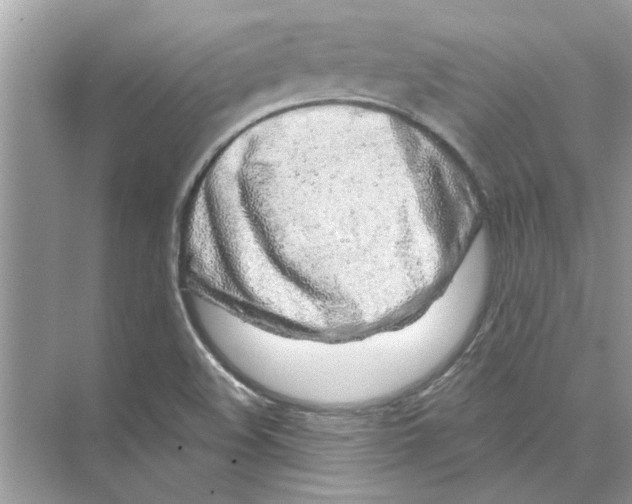 X0000074261508200609222137