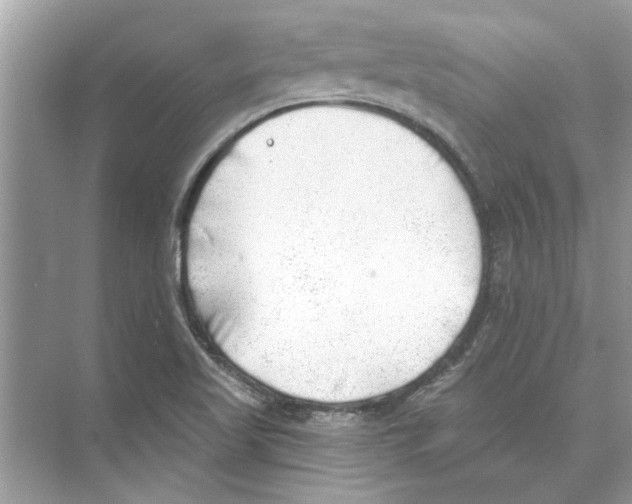 X0000074261509200609222137