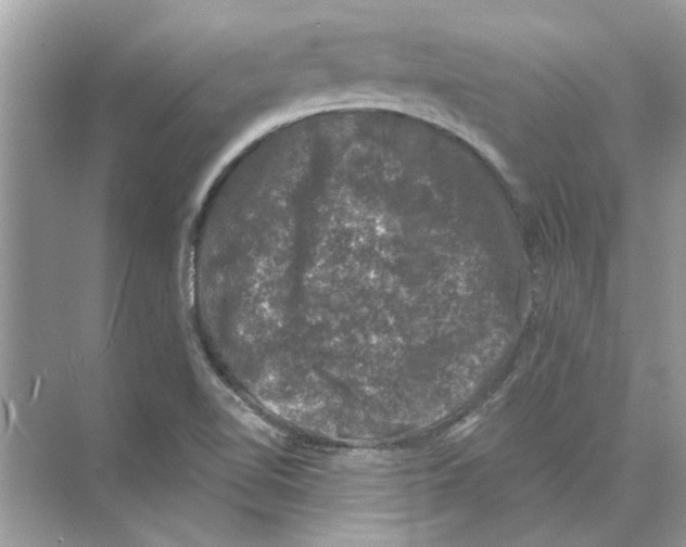 X0000074261510200609222137