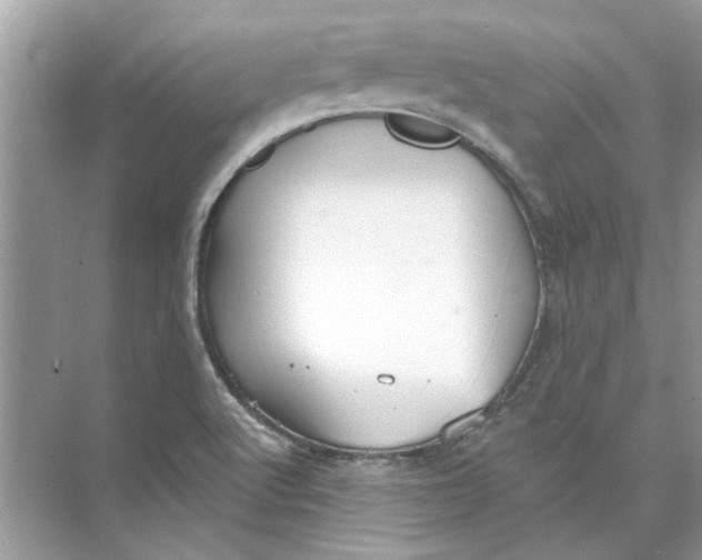 X0000074261512200609222137