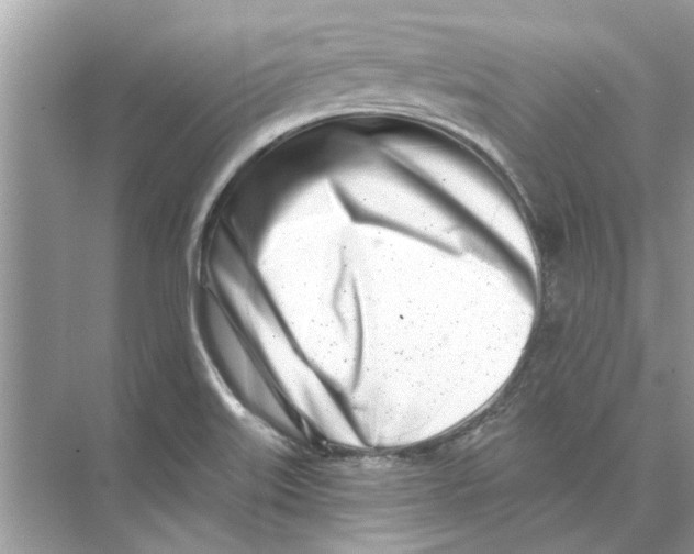 X0000074261515200609222137