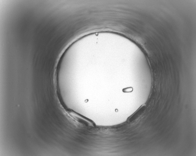 X0000074261516200609222137