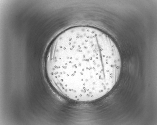 X0000074261517200609222137