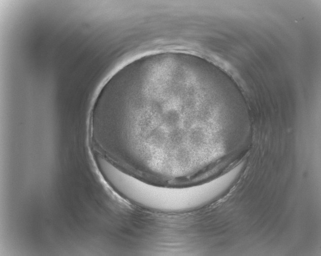 X0000074261520200609222138