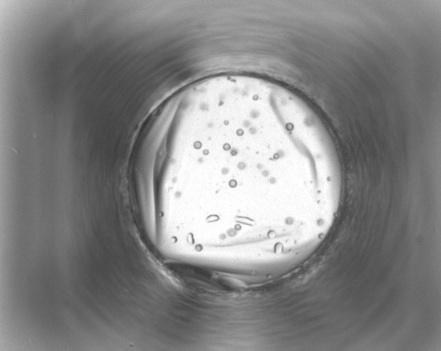 X0000074261521200609222138