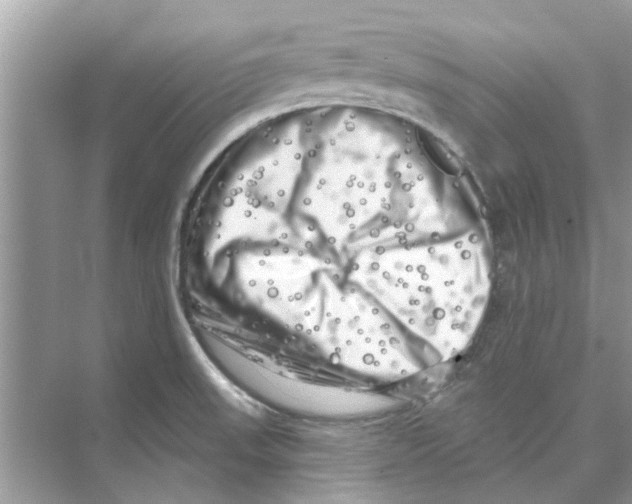 X0000074261523200609222138