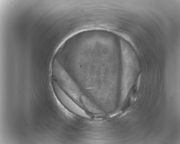 X0000074261524200609222138