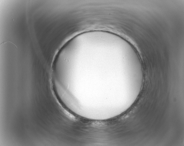 X0000074261525200609222138