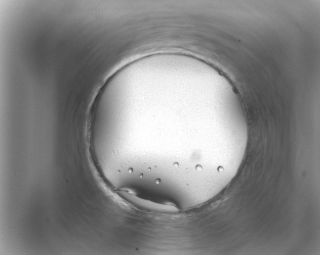 X0000074261526200609222138