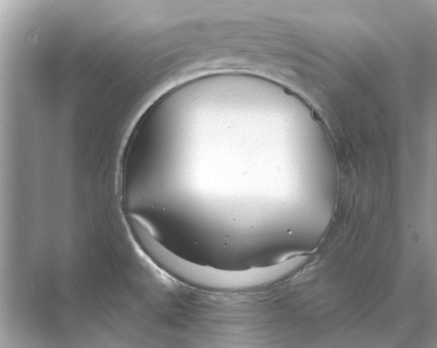 X0000074261527200609222138