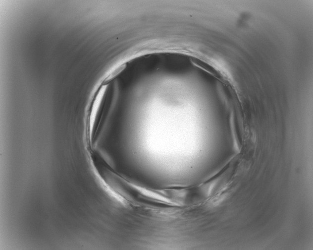 X0000074261528200609222138