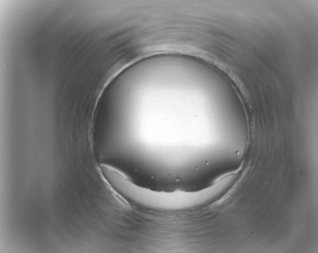 X0000074261529200609222138