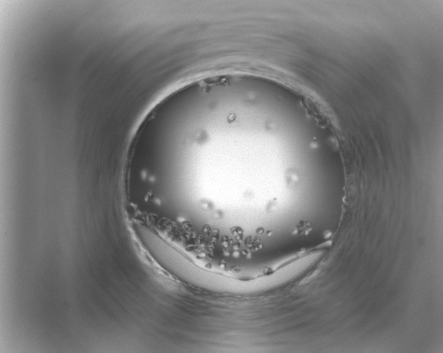 X0000074261530200609222138