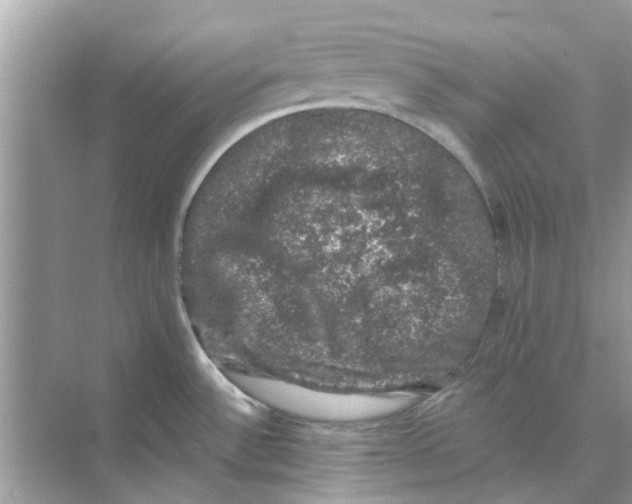 X0000074261532200609222138