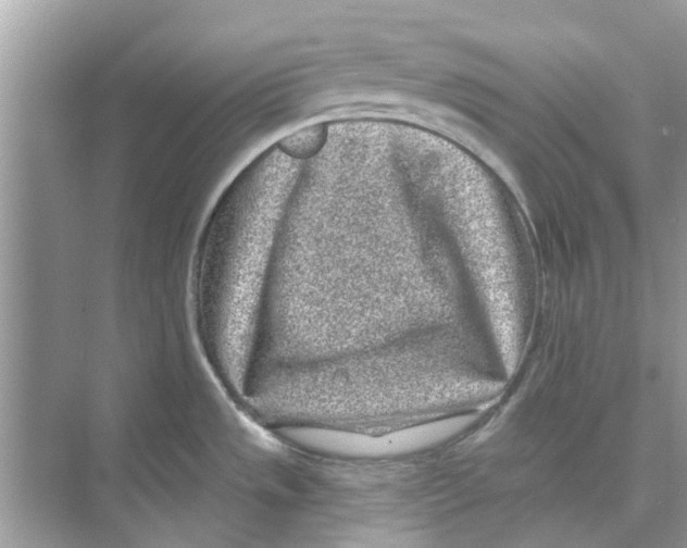 X0000074261533200609222138