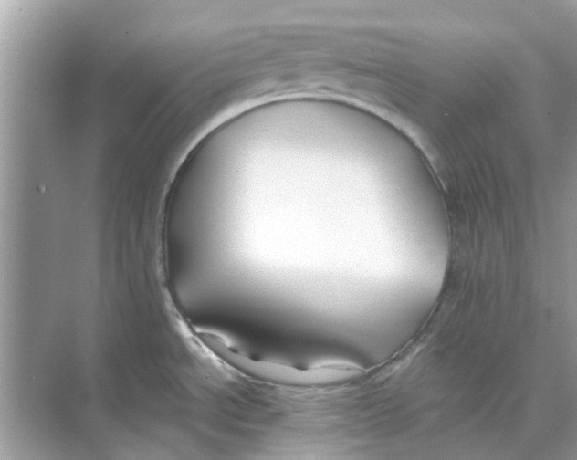 X0000074261534200609222138