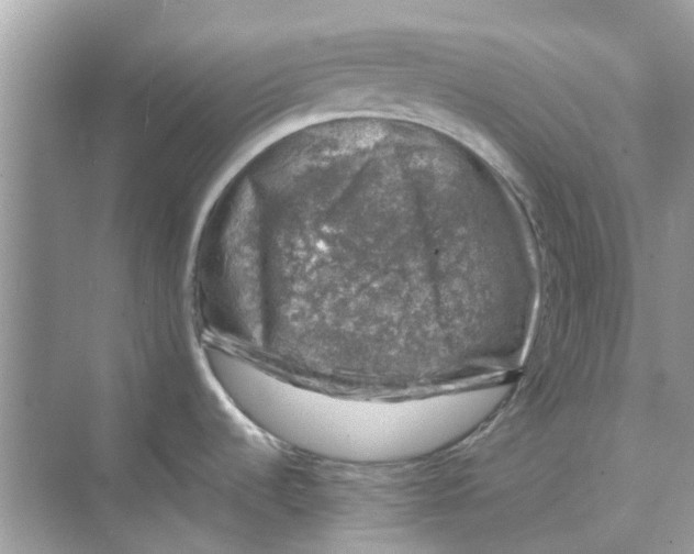 X0000074261536200609222138