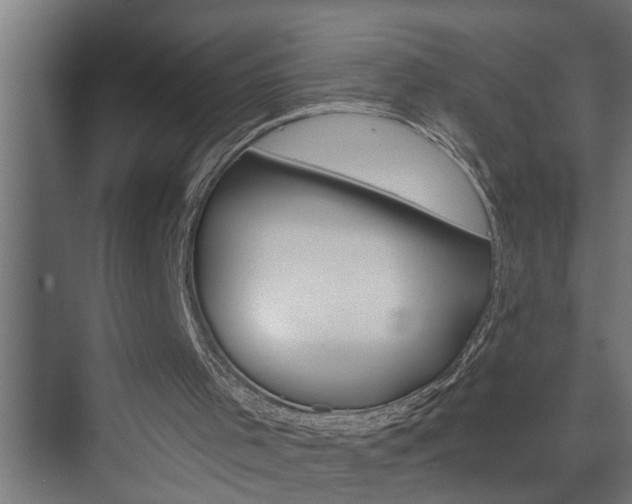 X0000074280001200608250948