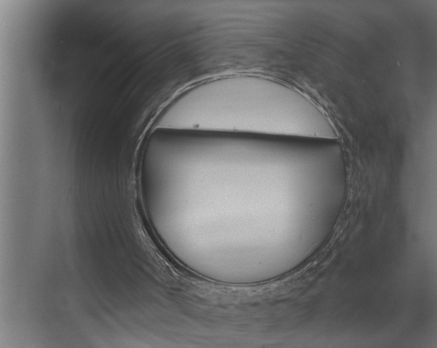 X0000074280002200608250948