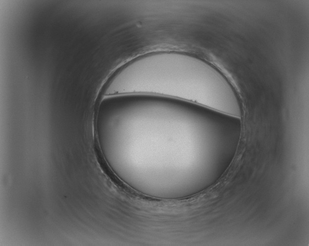 X0000074280011200608250948