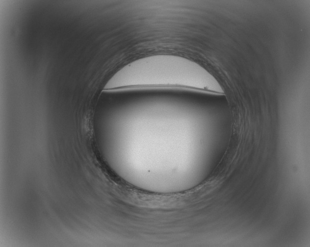 X0000074280044200608250947