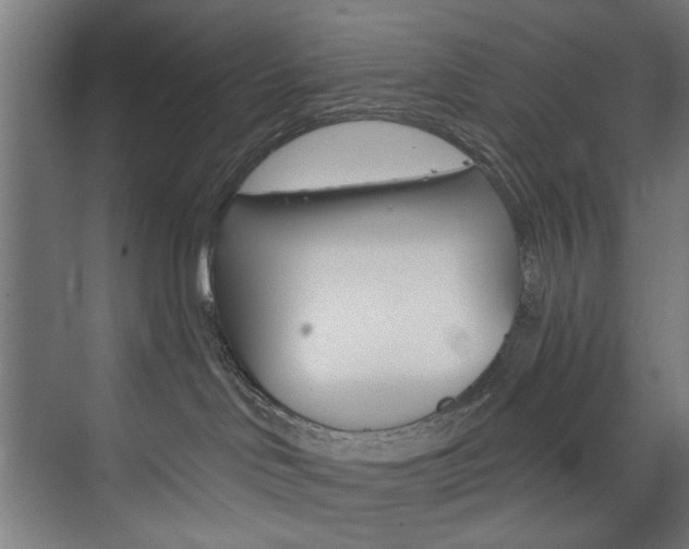 X0000074280046200608250947