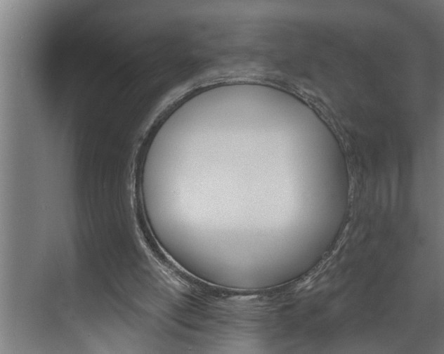 X0000074280054200608250946