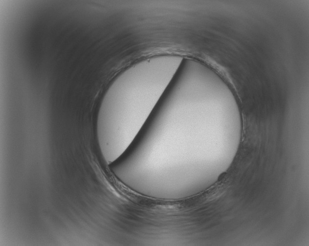 X0000074280061200608250946