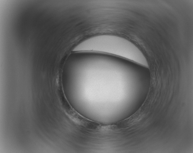 X0000074280072200608250947