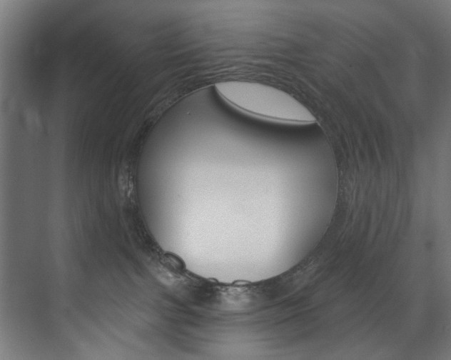 X0000074280091200608250947