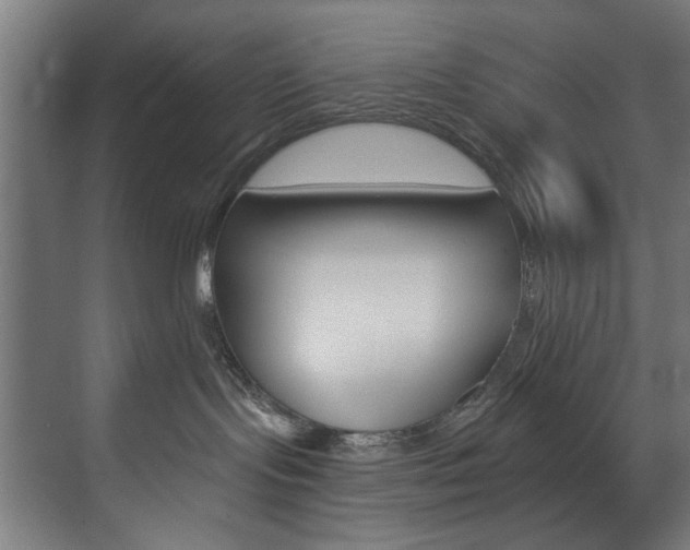 X0000074280095200608250947